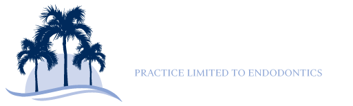 Link to Kenneth C. Sprechman DDS, PA home page
